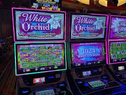 aviator bet Live Casino